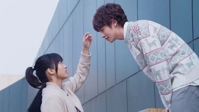 Meteor Garden