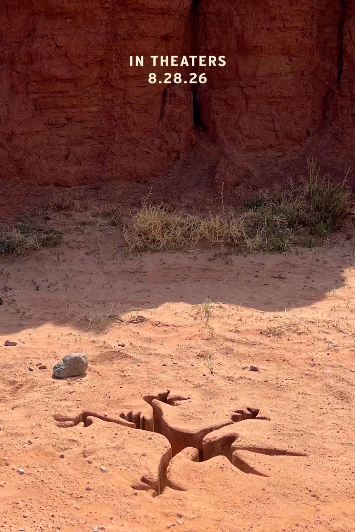 Coyote vs ACME