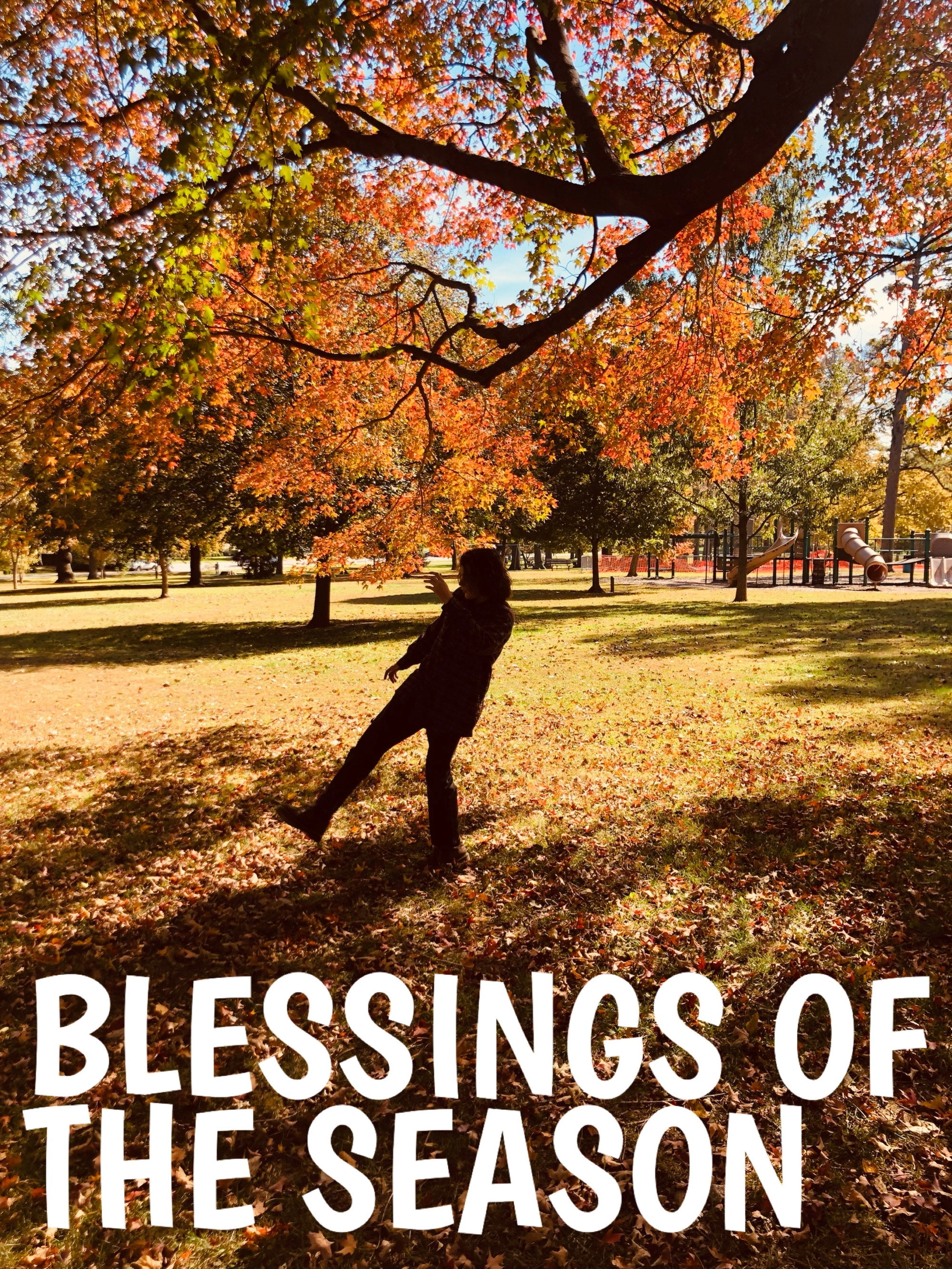 Blessings of the Season