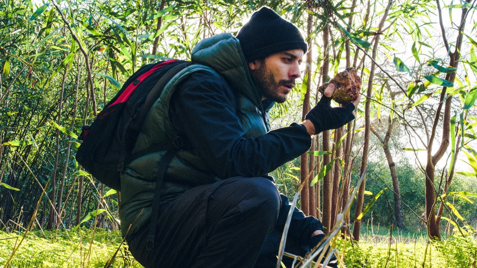 The Intrepid Explorer