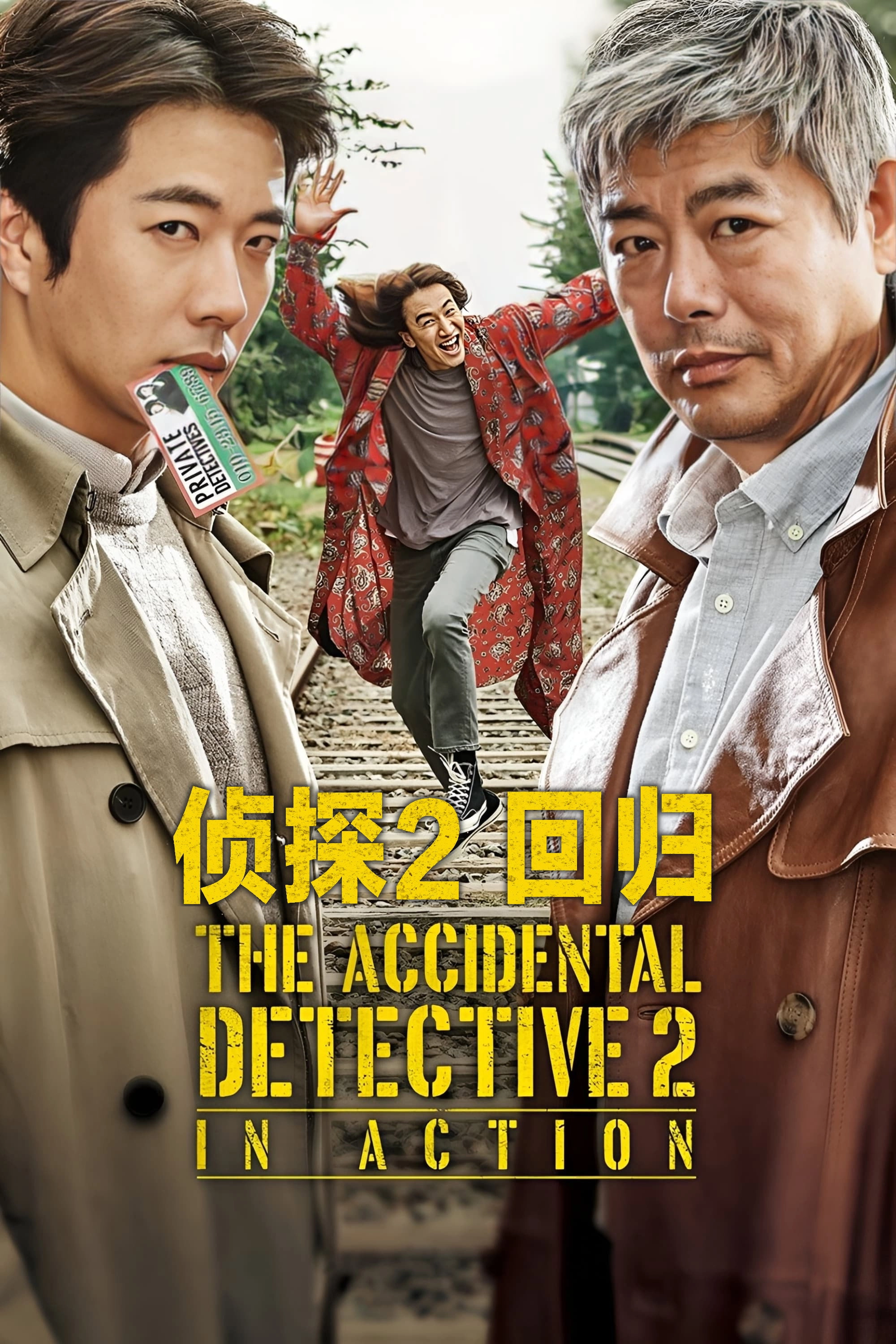 The Accidental Detective 2: In Action
