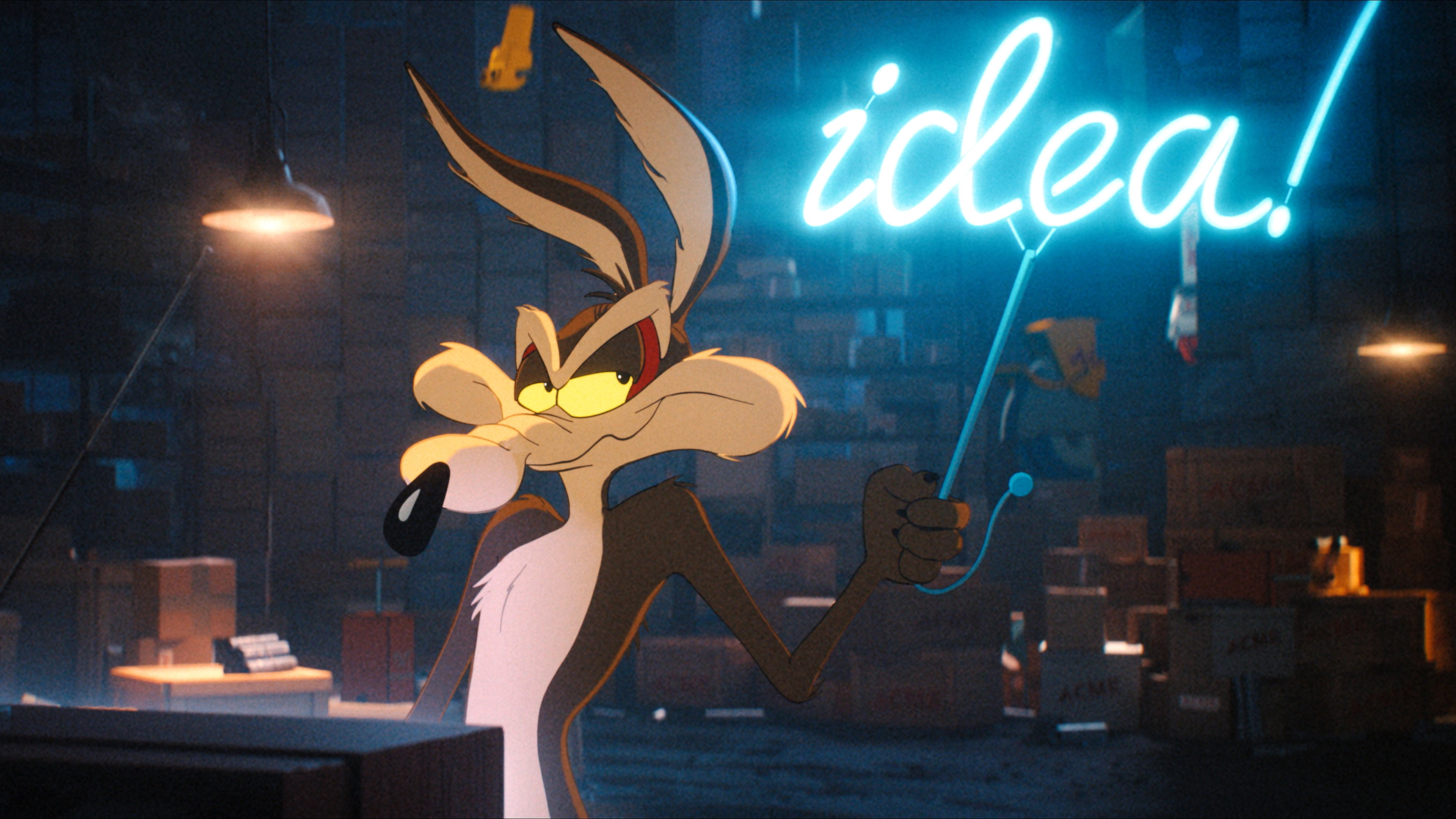Coyote vs ACME