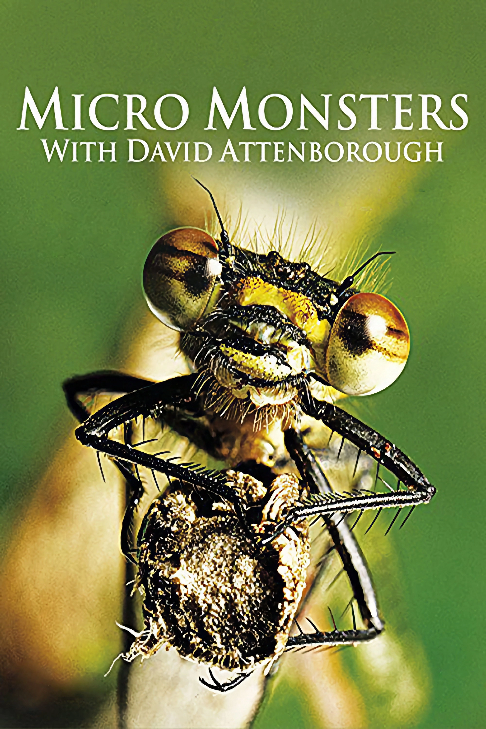 Micro Monsters with David Attenborough