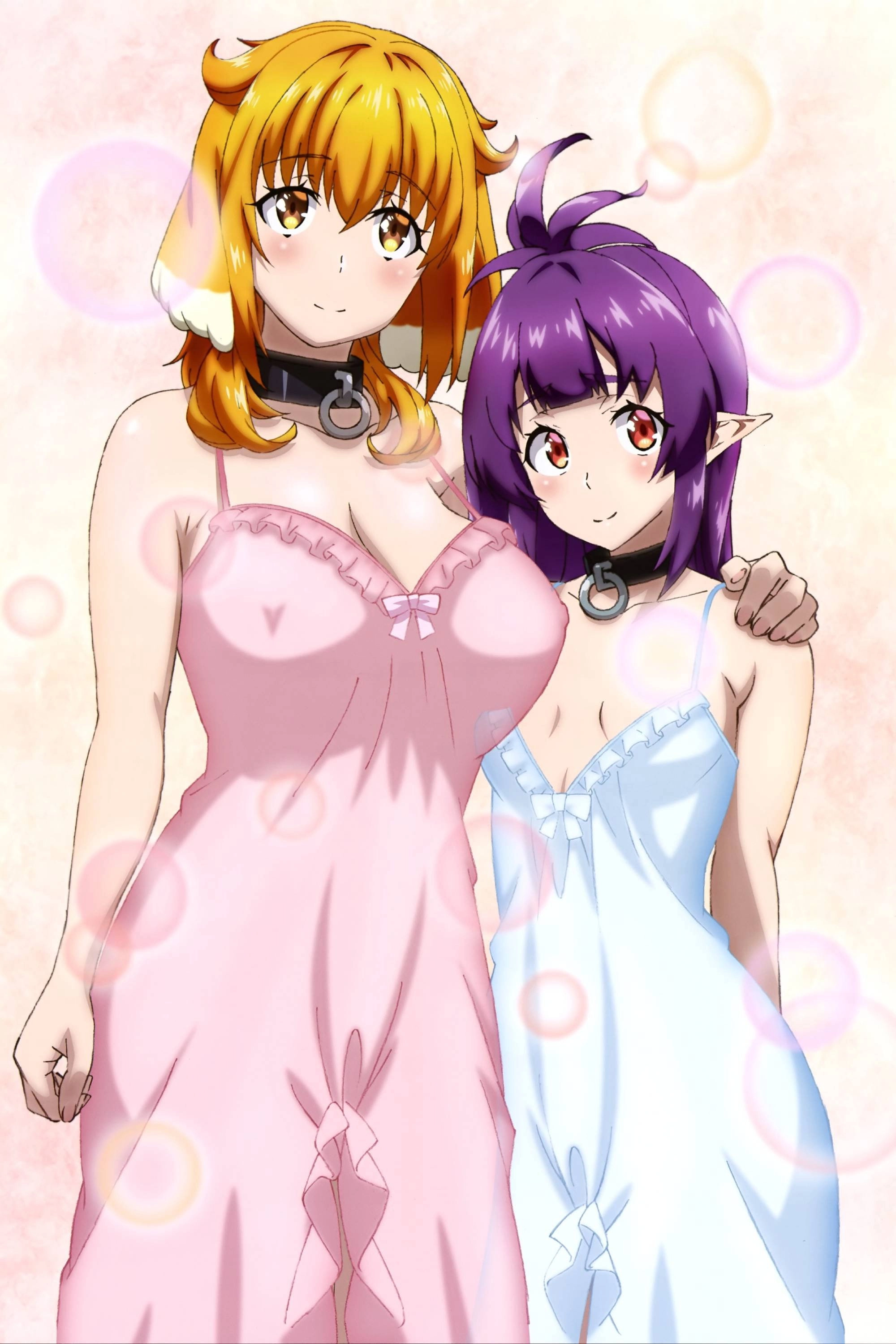 Harem in the Labyrinth of Another World