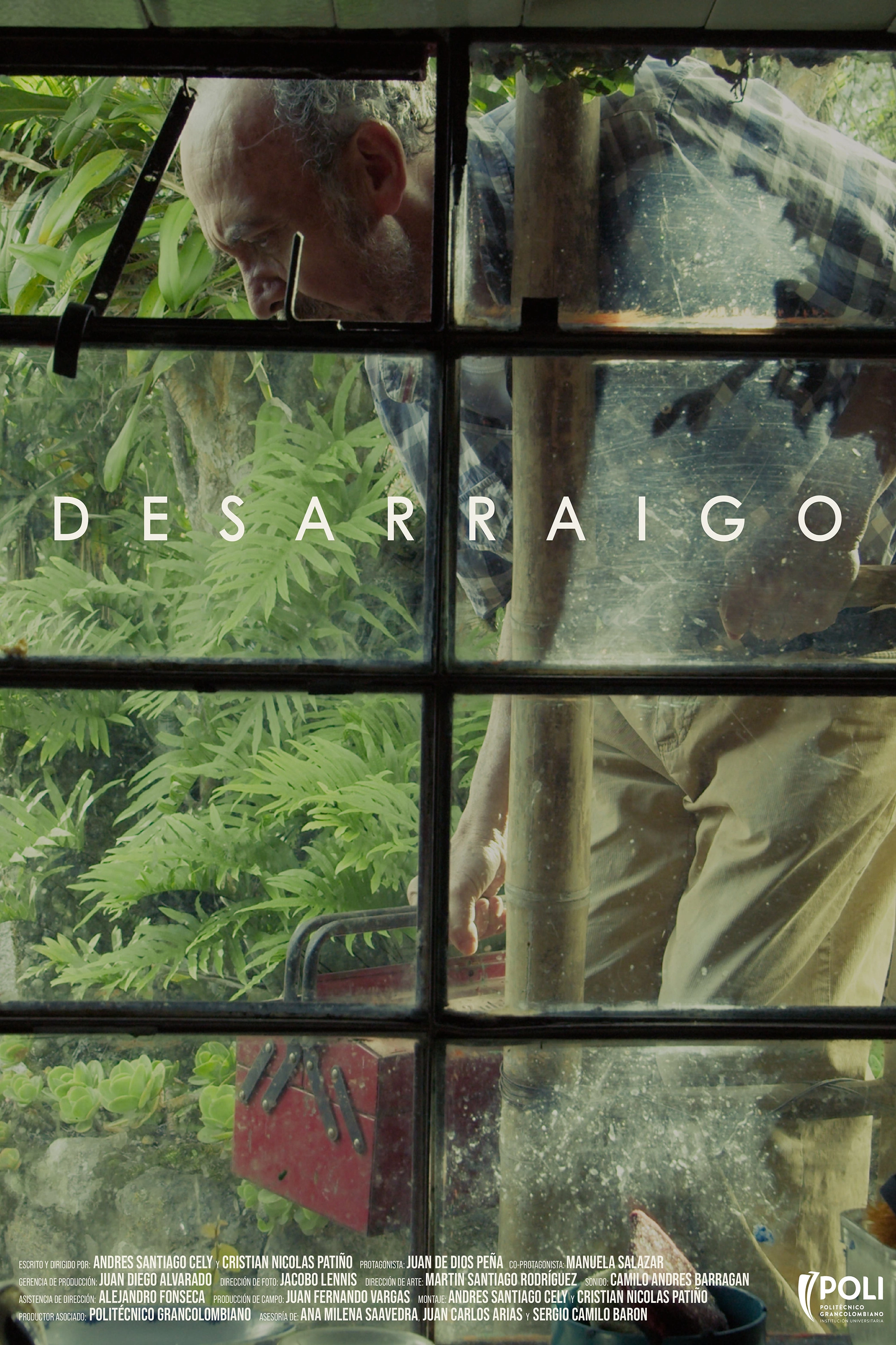 Desarraigo