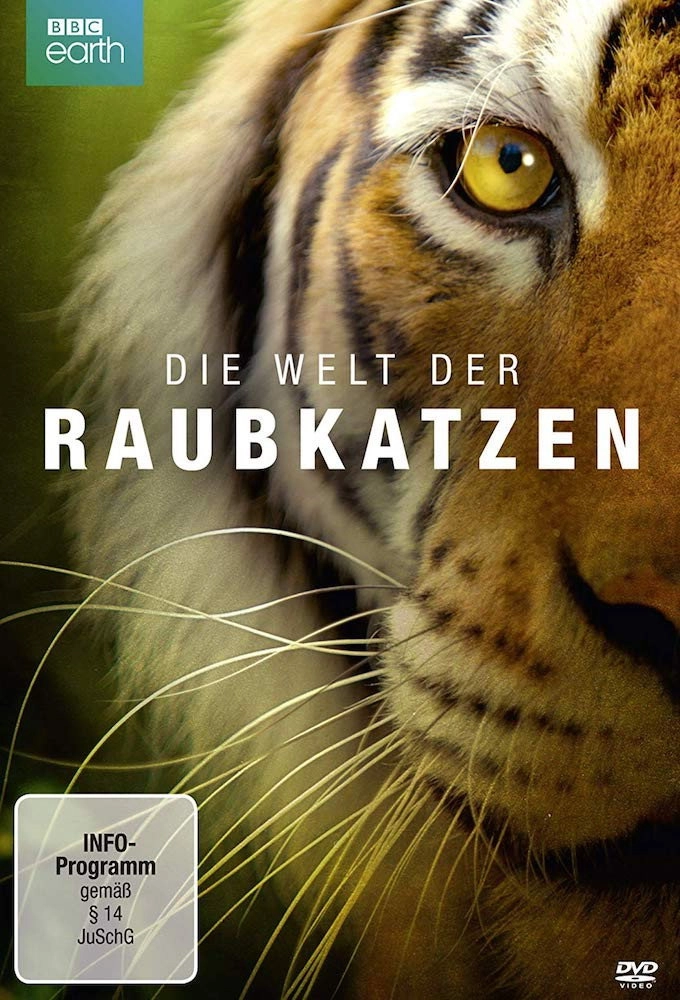 Big Cats