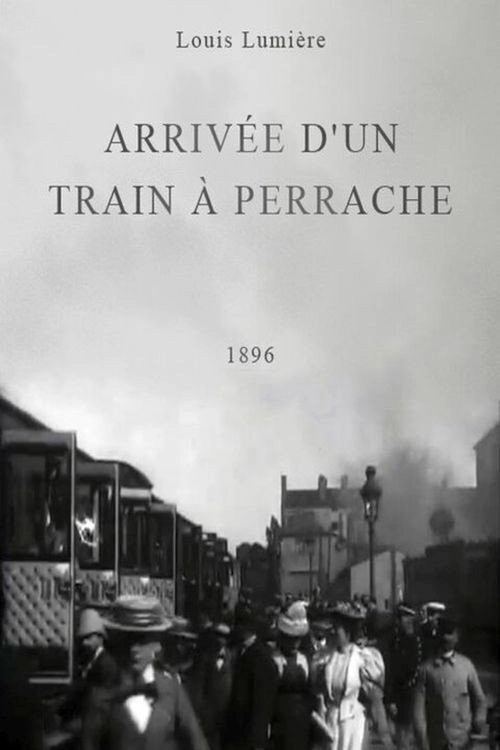 Arrival of a Train at Perrache