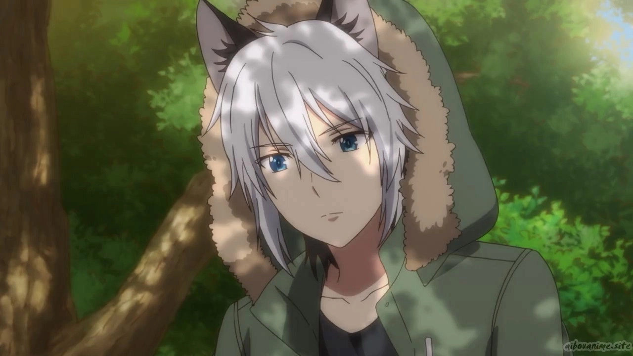 Uchitama?! Have You Seen My Tama?