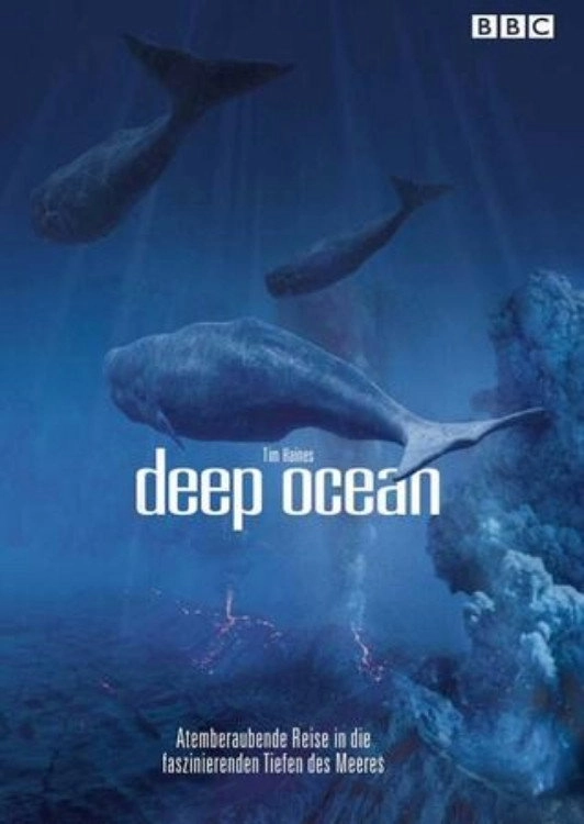 Ocean Odyssey