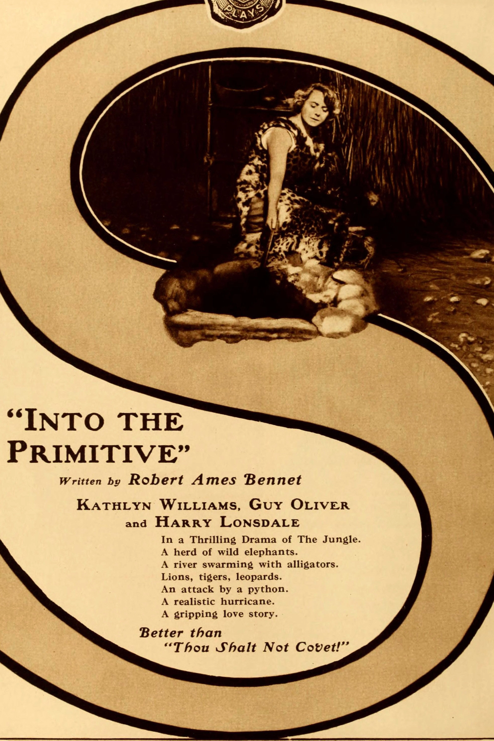 Into the Primitive