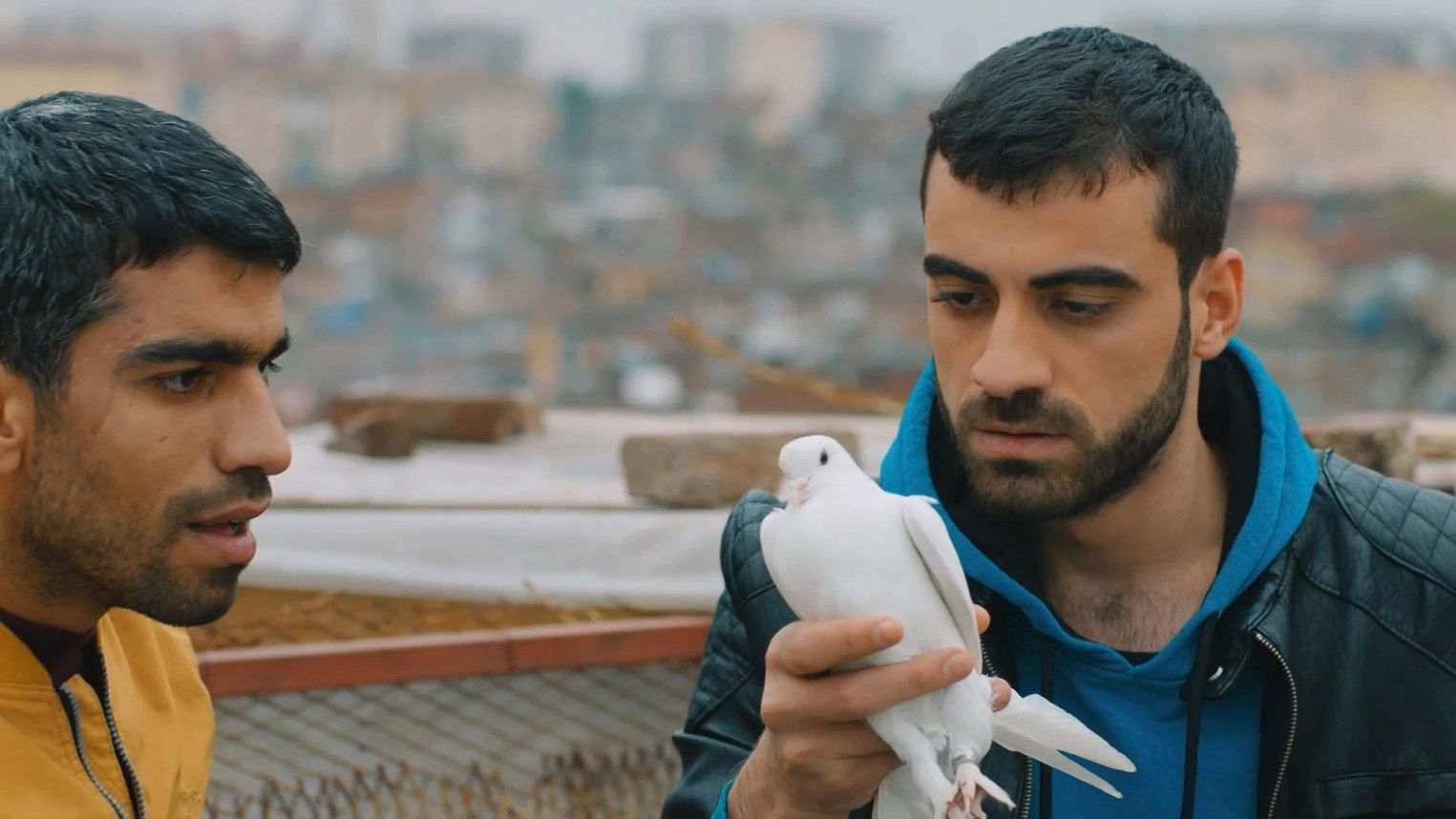 Once Upon a Time in Diyarbekir